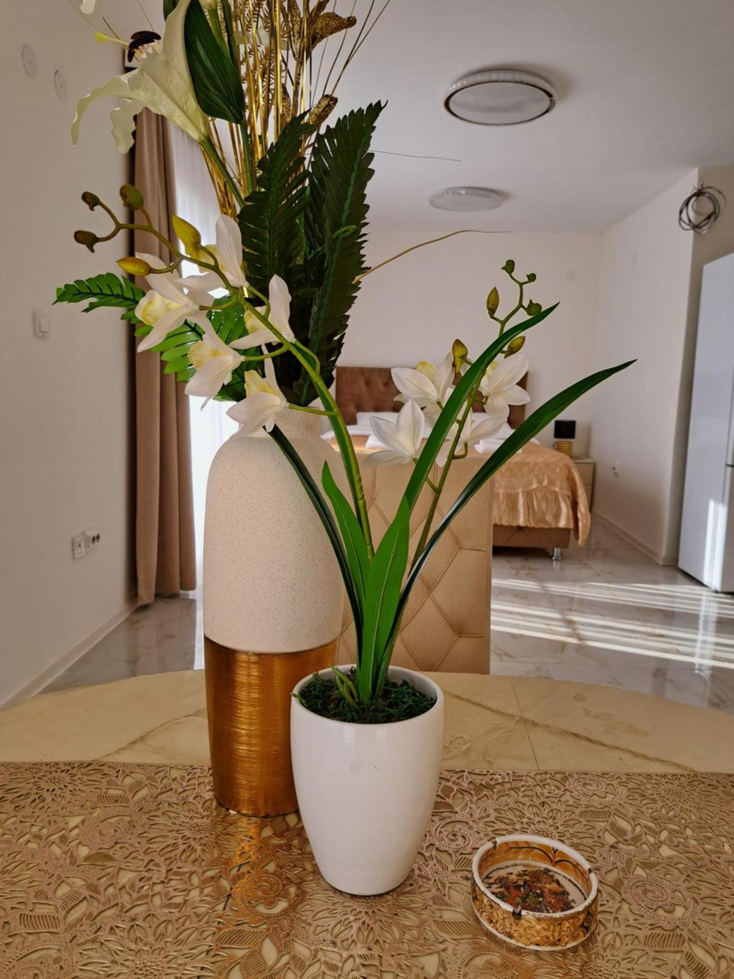 Dina Lux Apartman Jagodina Exterior photo